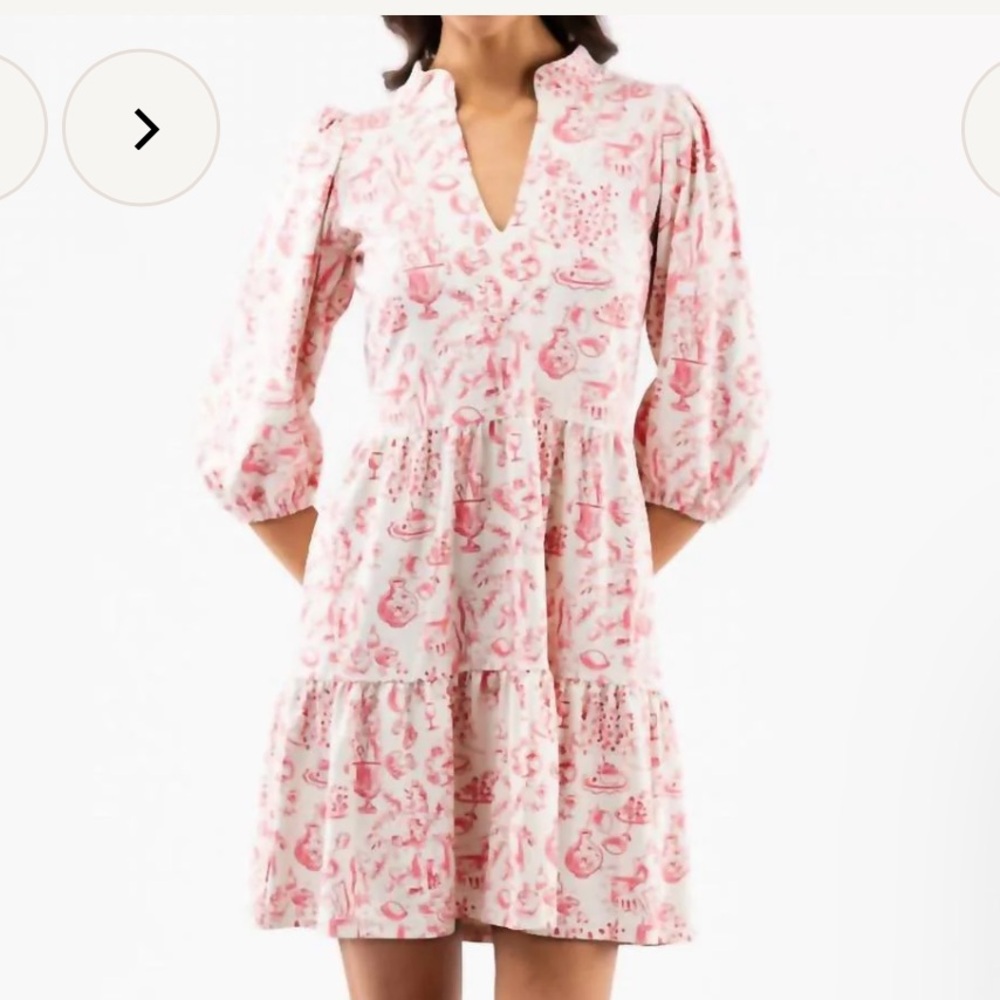 Smith & Quinn High End Boutique Pink Toile Tunic Dress XL baby shower